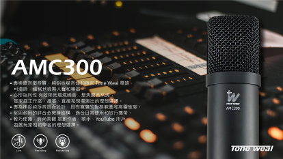 專業類比麥克風系列| TONE WEAL|允安國際有限公司