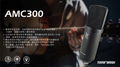 專業類比麥克風系列| TONE WEAL|允安國際有限公司