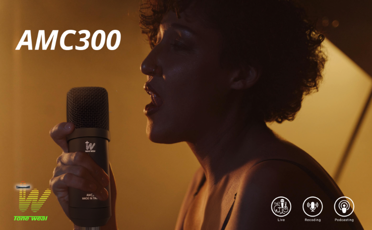 AMC300